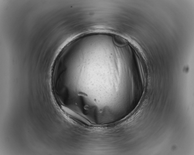 X0000100211333200806131243