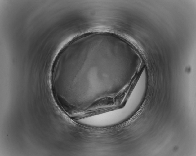 X0000100211334200806131243