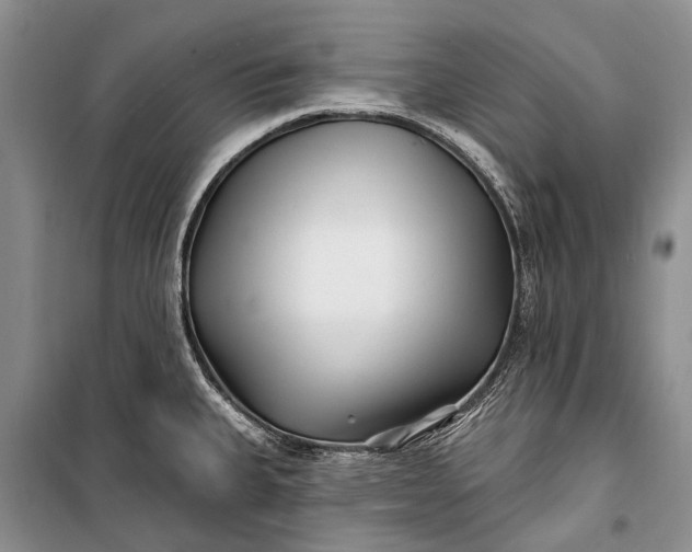 X0000100211335200806131243