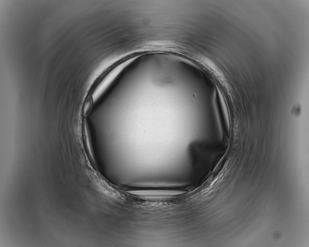 X0000100211336200806131243