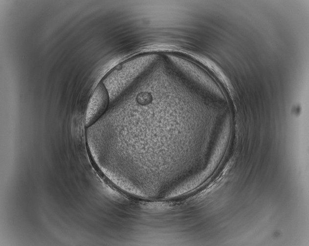 X0000100211337200806131243