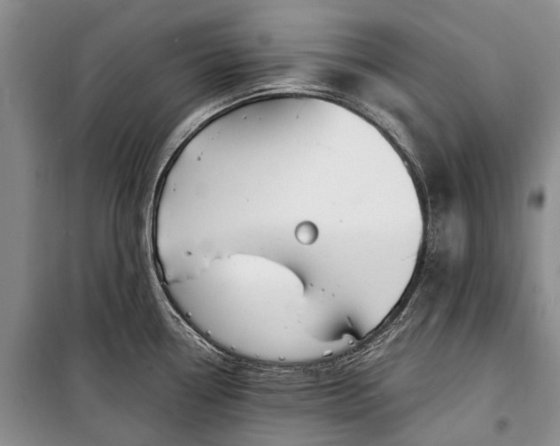 X0000100211338200806131243