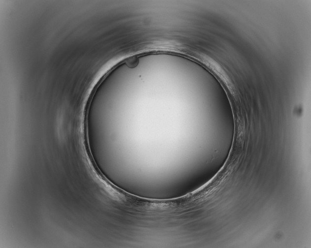 X0000100211339200806131243