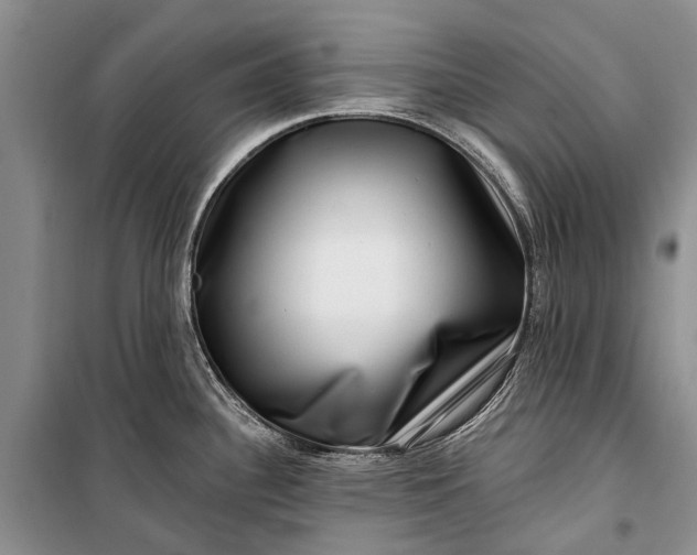 X0000100211340200806131243