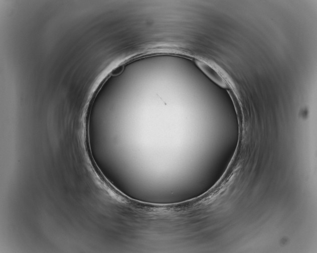 X0000100211341200806131243