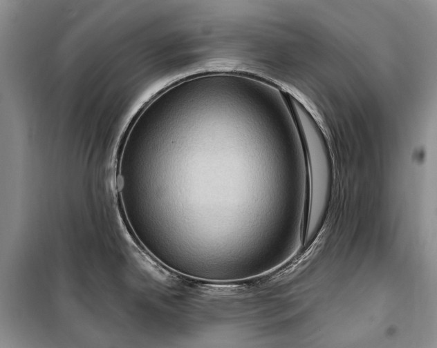 X0000100211342200806131243