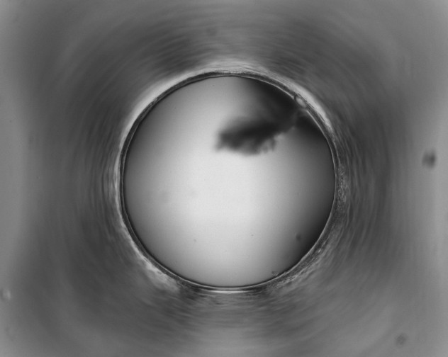 X0000100211343200806131243