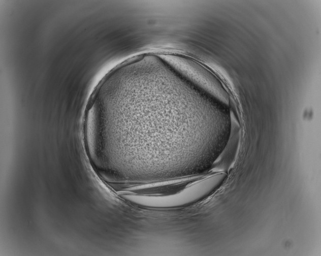 X0000100211344200806131244