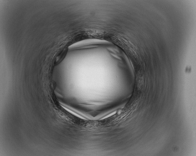 X0000100211345200806131243