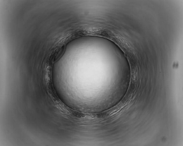 X0000100211346200806131243