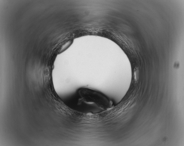 X0000100211347200806131243