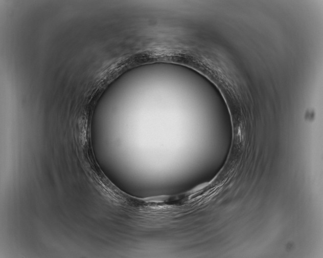 X0000100211348200806131243