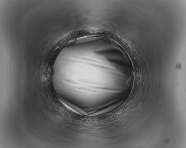 X0000100211349200806131243