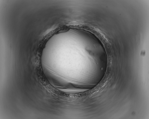 X0000100211350200806131243