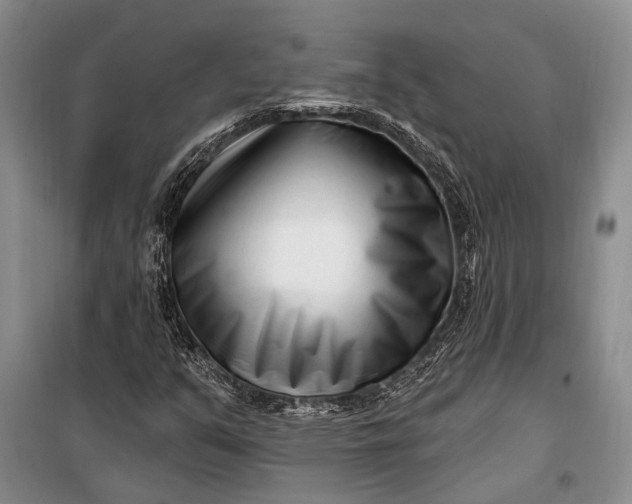 X0000100211351200806131243