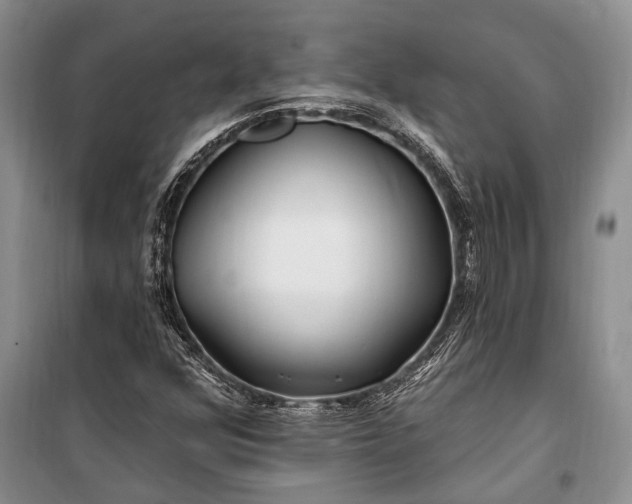 X0000100211352200806131243