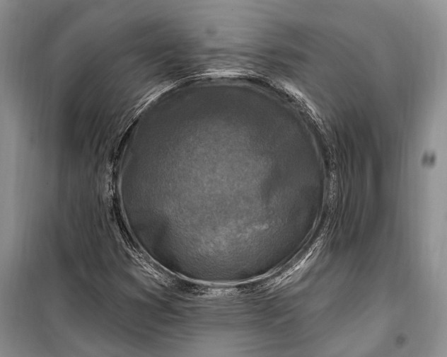 X0000100211353200806131243