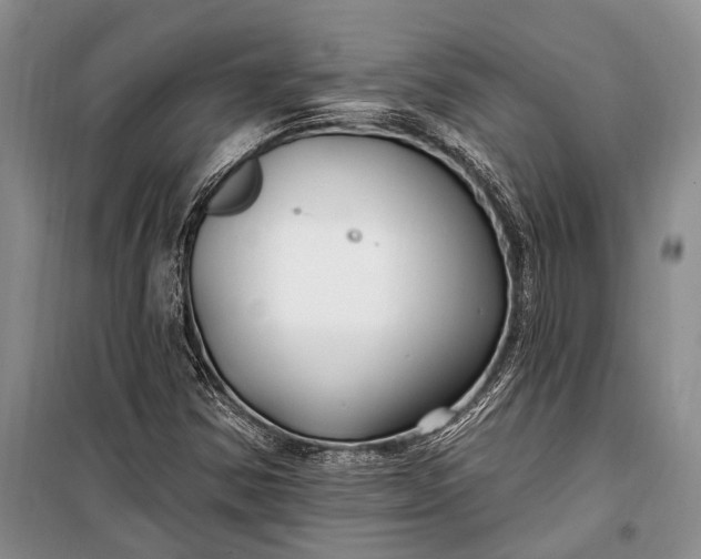 X0000100211354200806131243