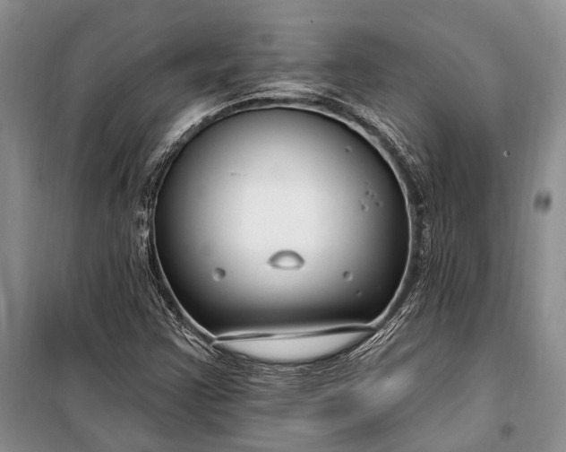 X0000100211355200806131243