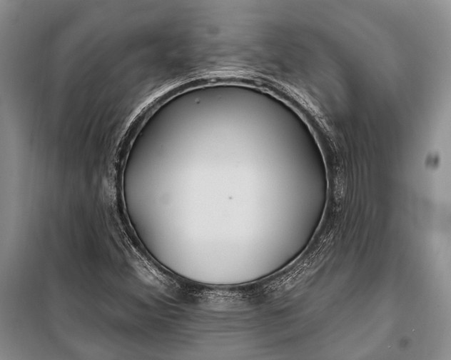 X0000100211356200806131243