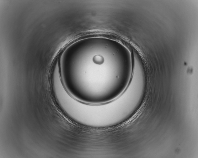 X0000100211357200806131243