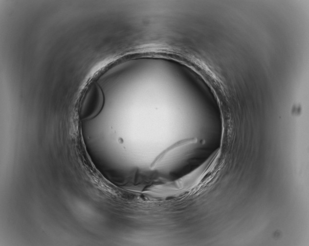 X0000100211358200806131243