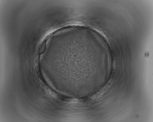 X0000100211359200806131243