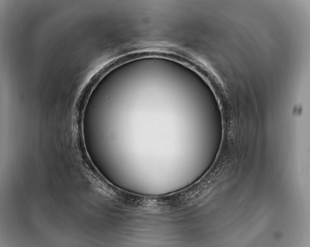 X0000100211360200806131243