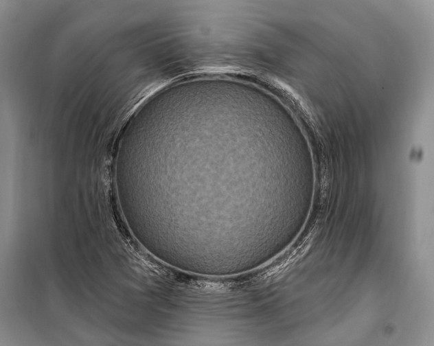 X0000100211361200806131243