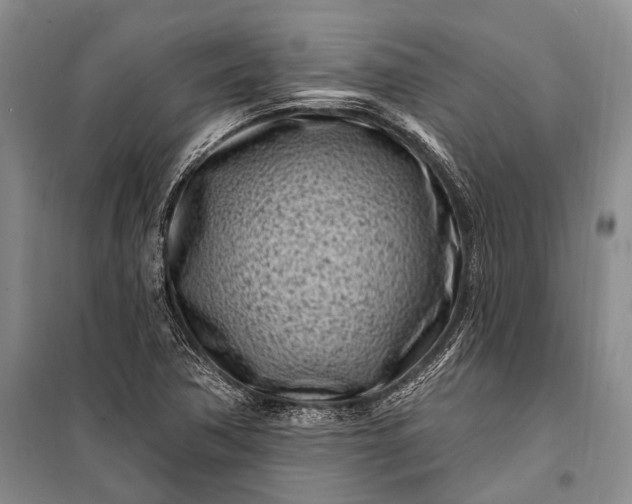 X0000100211362200806131243