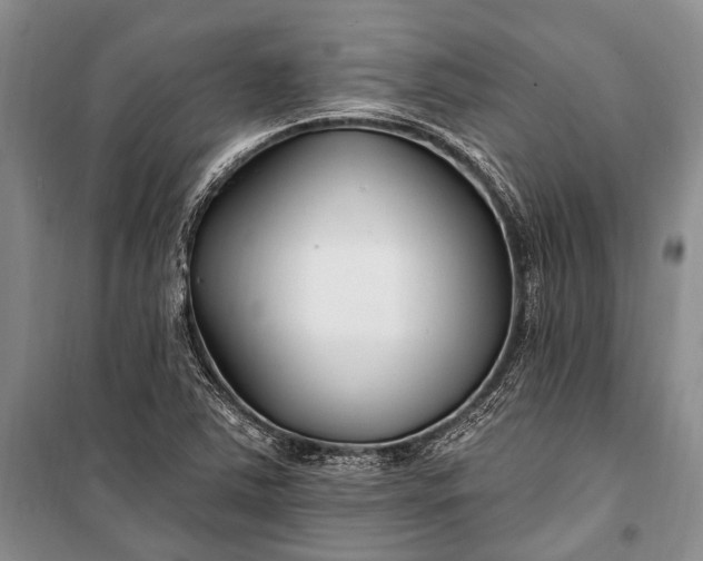 X0000100211363200806131243