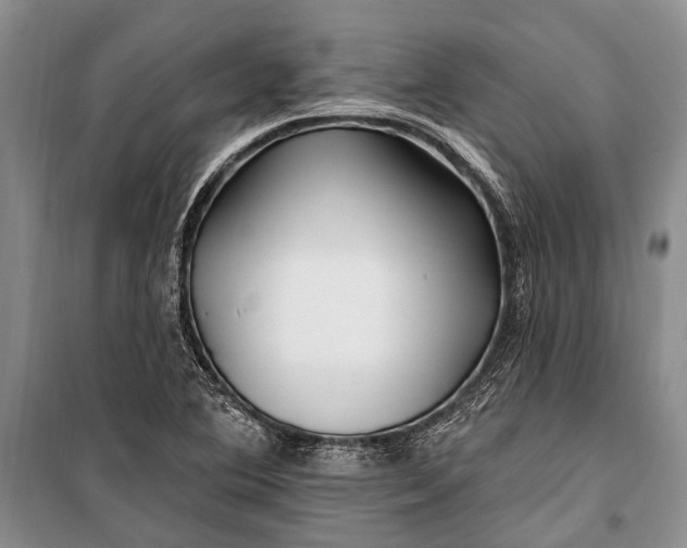 X0000100211364200806131243