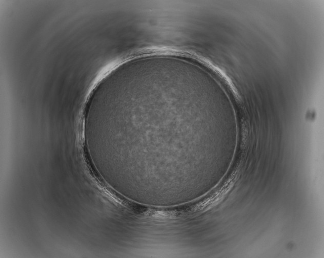 X0000100211365200806131243