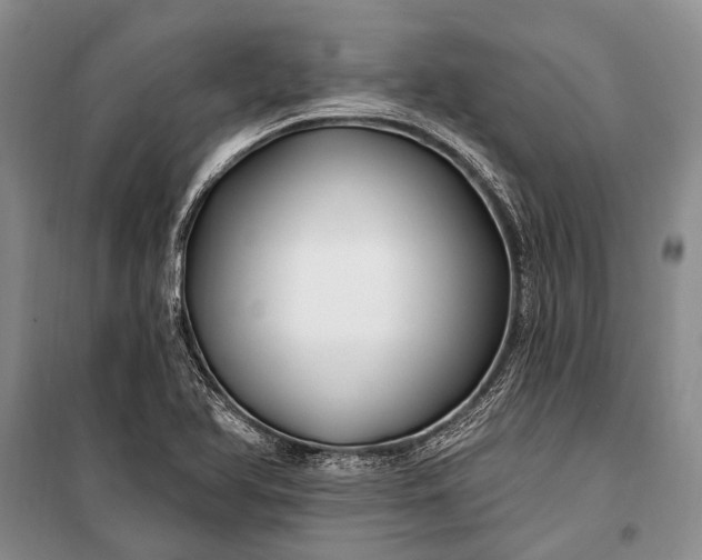 X0000100211366200806131243