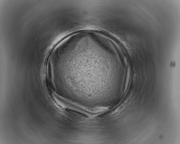 X0000100211367200806131243