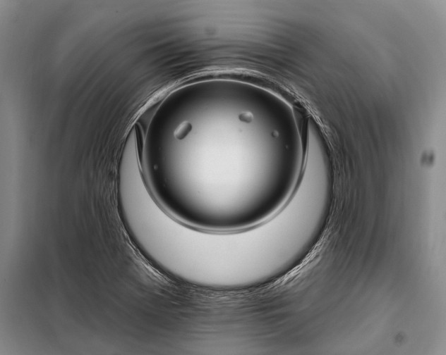 X0000100211369200806131243