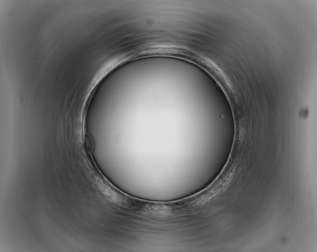 X0000100211370200806131243