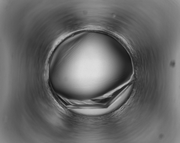 X0000100211371200806131242