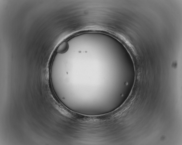 X0000100211372200806131242