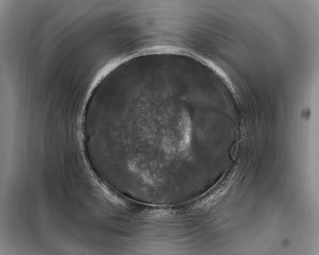 X0000100211373200806131242