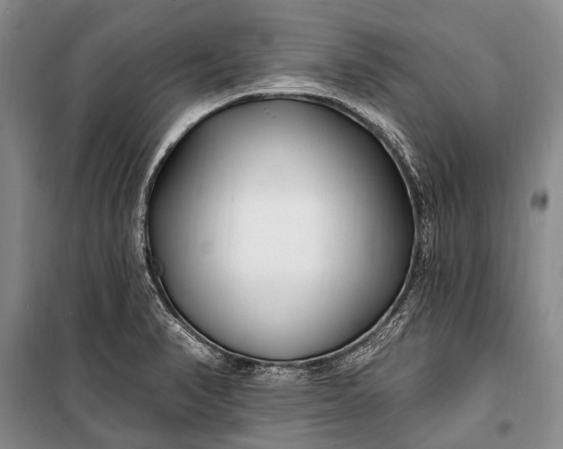 X0000100211374200806131242