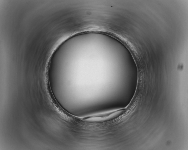 X0000100211375200806131242