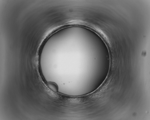 X0000100211376200806131242