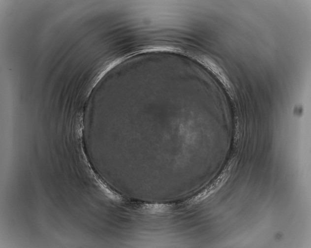 X0000100211377200806131242