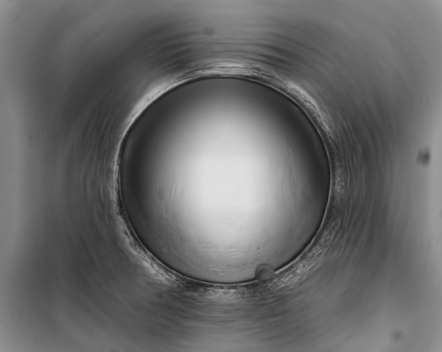 X0000100211378200806131242