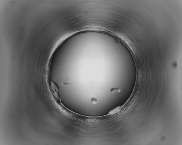 X0000100211379200806131242