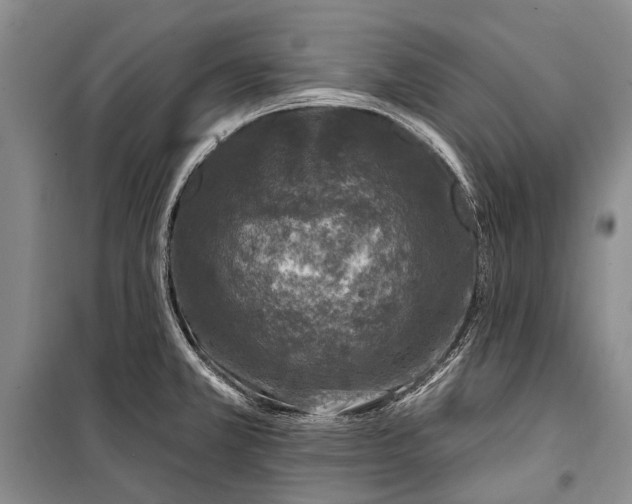 X0000100211381200806131242