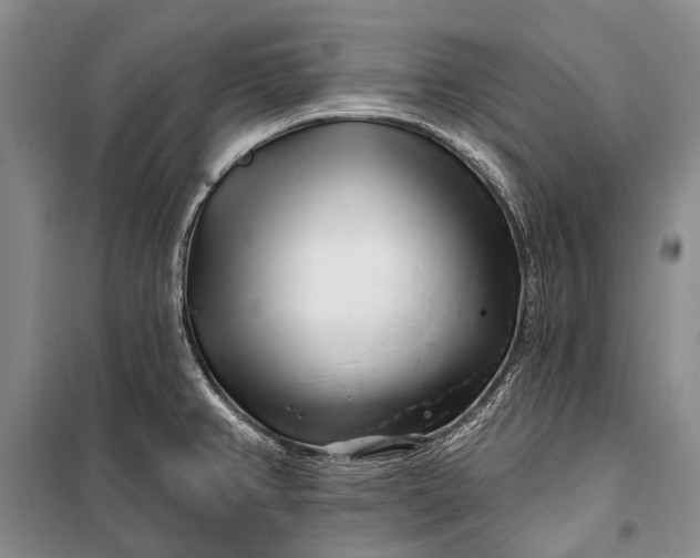 X0000100211382200806131242