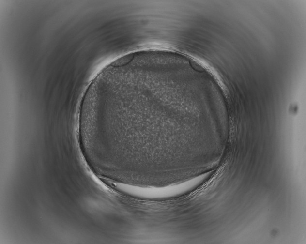 X0000100211383200806131242