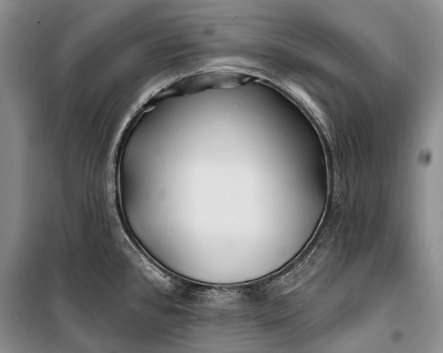 X0000100211384200806131242